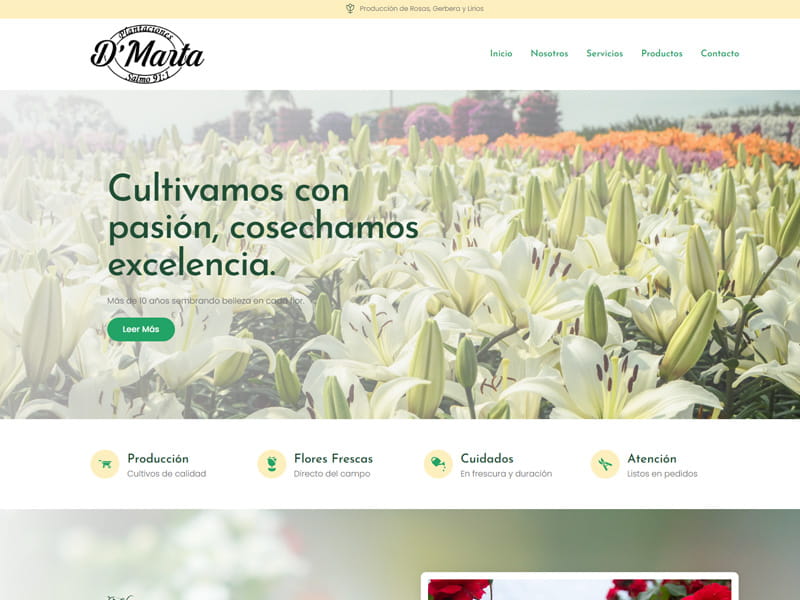 screencapture-plantaciondmarta